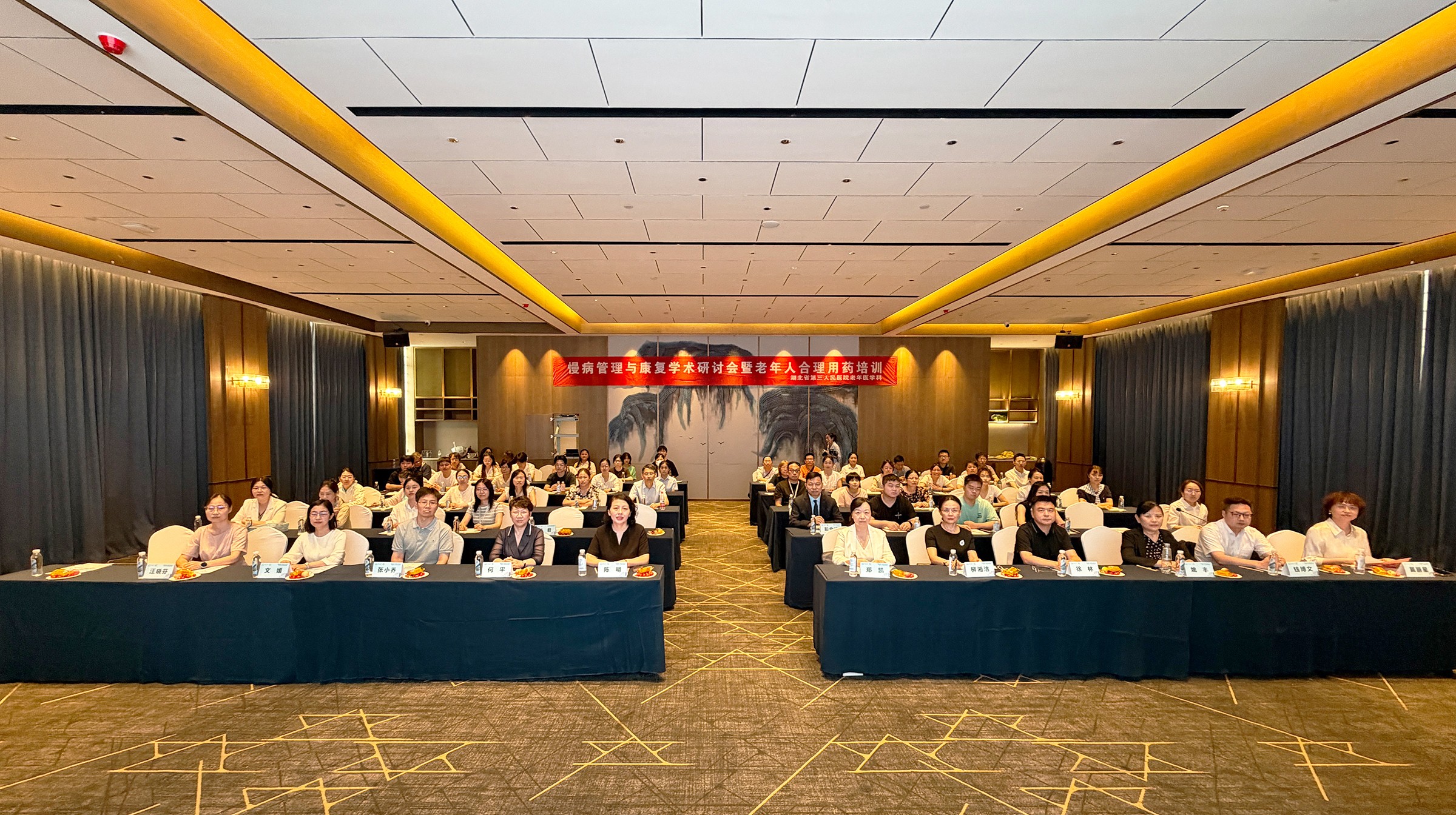 聚焦慢病管理与老年合理用药——湖北省第三人民医院省级继续教育学术研讨会顺利召开